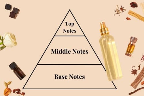 PARFÜMDEKİ ÜST, ORTA VE ALT NOTA NE DEMEK?