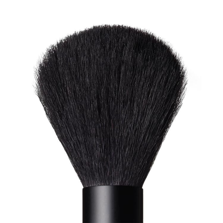 #10:LOOSE POWDER BRUSH
